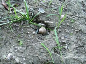 20190901 treciDanRatnoOstrvo (50)