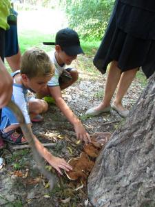 20190901 treciDanRatnoOstrvo (53)