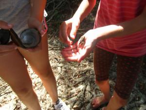 20190901 treciDanRatnoOstrvo (54)