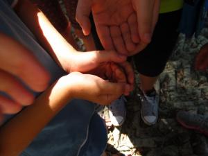 20190901 treciDanRatnoOstrvo (55)