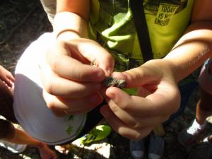 20190901 treciDanRatnoOstrvo (57)