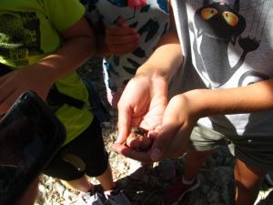 20190901 treciDanRatnoOstrvo (58)