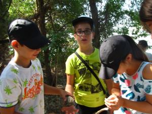 20190901 treciDanRatnoOstrvo (59)