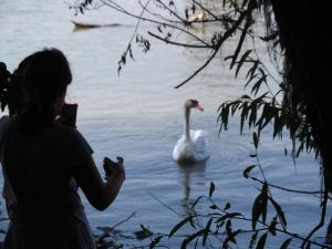 20190901 treciDanRatnoOstrvo (60)