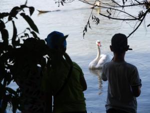 20190901 treciDanRatnoOstrvo (62)