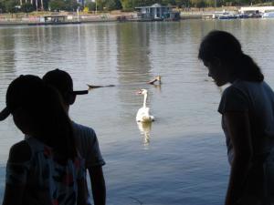 20190901 treciDanRatnoOstrvo (65)