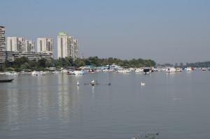 20190901 treciDanRatnoOstrvo (7)