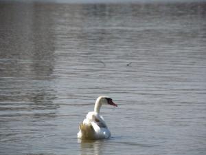 20190901 treciDanRatnoOstrvo (70)