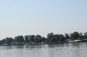 20190901 treciDanRatnoOstrvo (8)