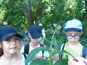 20190901 treciDanRatnoOstrvo (92)