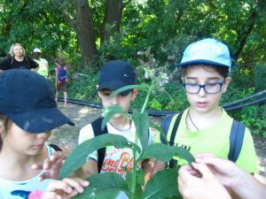 20190901 treciDanRatnoOstrvo (93)