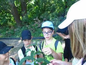 20190901 treciDanRatnoOstrvo (94)