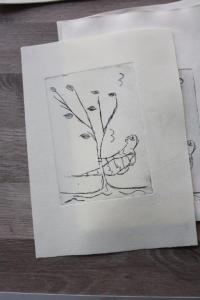 foto (14)