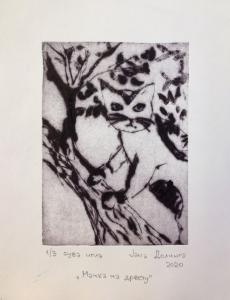 jana dolinga suva igla 2020 zimaska-graf-radionica dkcb 7890 589x768-min