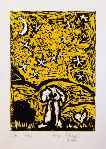 vanja colakovic linorez 2020 zimaska-graf-radionica dkcb 7848 546x768-min