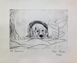 zoja preda bakropis 2020 zimaska-graf-radionica dkcb 7856 926x768-min