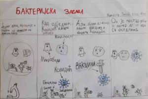 Никола Ташић, 8 година ОШ Вожд Карађорђе, Ниш-min