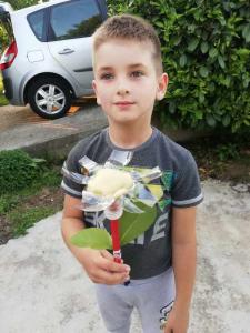 Лука Димић, 4 разред ОШ Никола Тесла, ментор Милена Пјевић