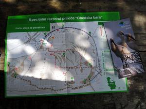 Izlet Obedska bara (34)