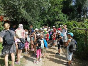 viber image 2021-07-13 10-49-46-575