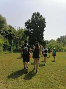 viber image 2021-07-13 10-49-46-817