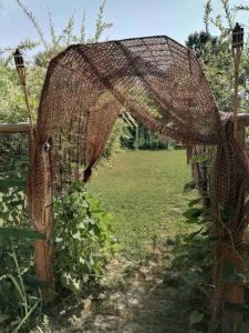 viber image 2021-07-13 10-49-46-995