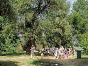 viber image 2021-07-13 10-49-47-272