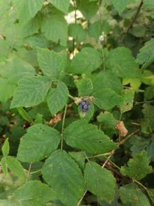 viber image 2021-07-13 12-17-04-714