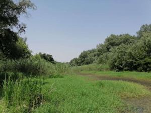 viber image 2021-07-13 12-17-05-198