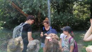 viber image 2021-07-13 12-17-05-416