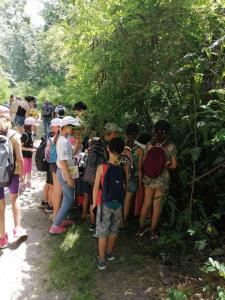 viber image 2021-07-13 12-17-05-497