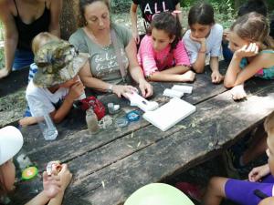 viber image 2021-07-13 13-16-08-644