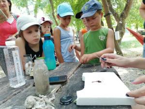 viber image 2021-07-13 13-22-36-950