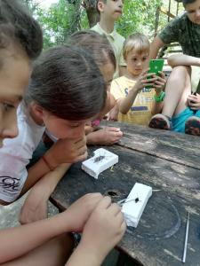 viber image 2021-07-13 13-22-37-441