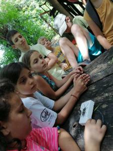 viber image 2021-07-13 13-22-37-568