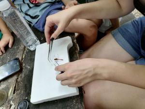 viber image 2021-07-13 13-22-38-238