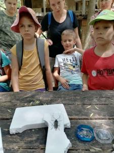 viber image 2021-07-13 13-22-52-247