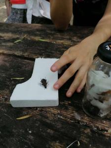 viber image 2021-07-13 13-52-31-569