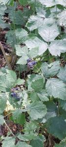 viber image 2021-07-15 11-23-26-511