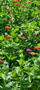 viber image 2021-07-15 11-23-44-101