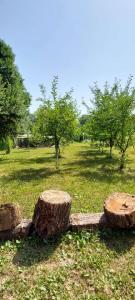 viber image 2021-07-15 11-23-55-677