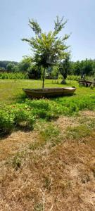 viber image 2021-07-15 11-24-30-107