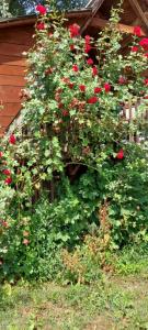 viber image 2021-07-15 11-24-59-621