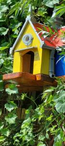 viber image 2021-07-15 11-25-18-932