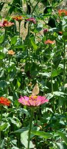 viber image 2021-07-15 11-25-45-399