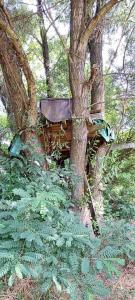 viber image 2021-07-15 11-26-01-174