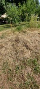 viber image 2021-07-15 11-26-59-075