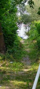 viber image 2021-07-15 11-27-09-664