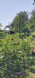 viber image 2021-07-15 11-28-02-870