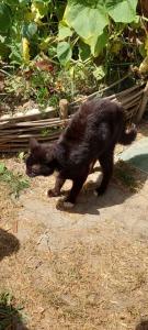 viber image 2021-07-15 11-28-23-551